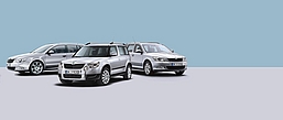 Skoda Unternehmerprogramm